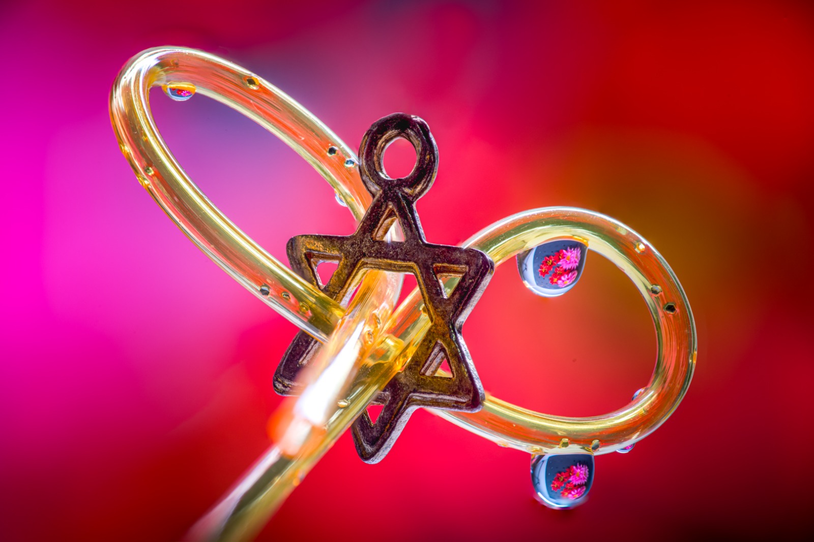 WhatsApp Image 2026-02-11 at 13.59.58