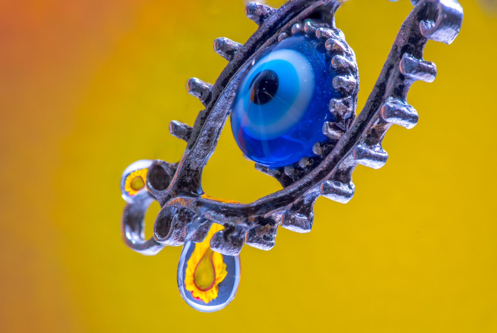 WhatsApp Image 2026-02-11 at 13.59.59