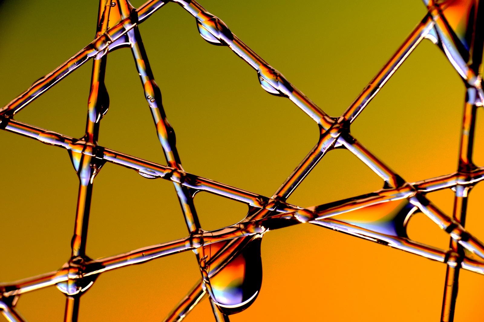 WhatsApp Image 2026-02-11 at 14.00.02