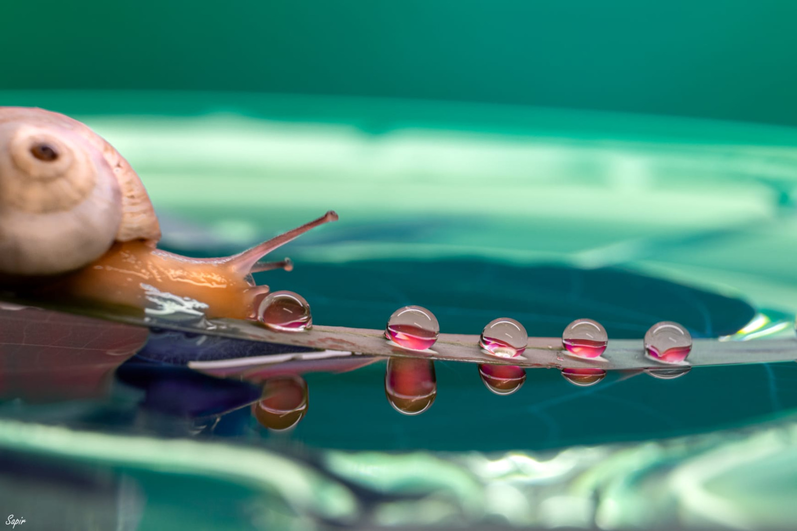 WhatsApp Image 2026-02-11 at 14.00.03