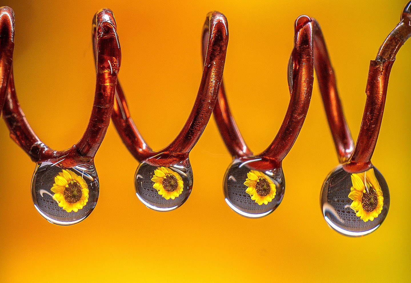 WhatsApp Image 2026-02-11 at 14.00.04 (2)