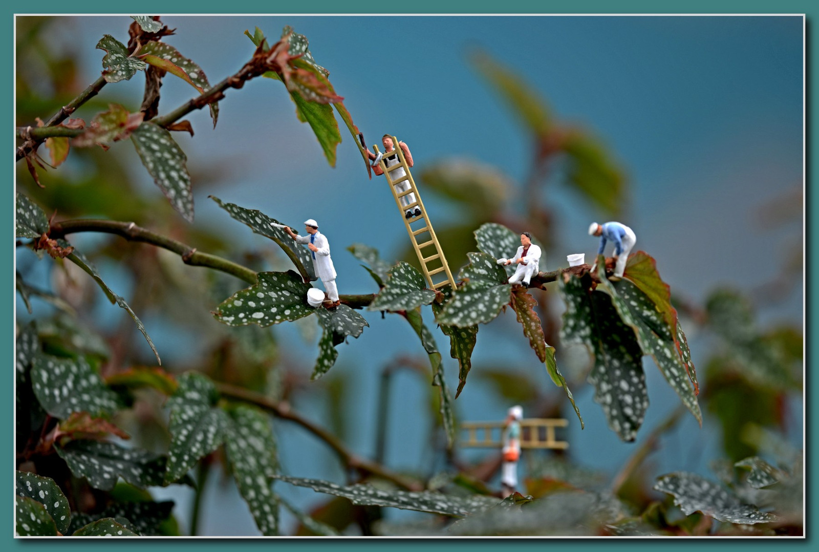 WhatsApp Image 2026-02-11 at 14.00.32