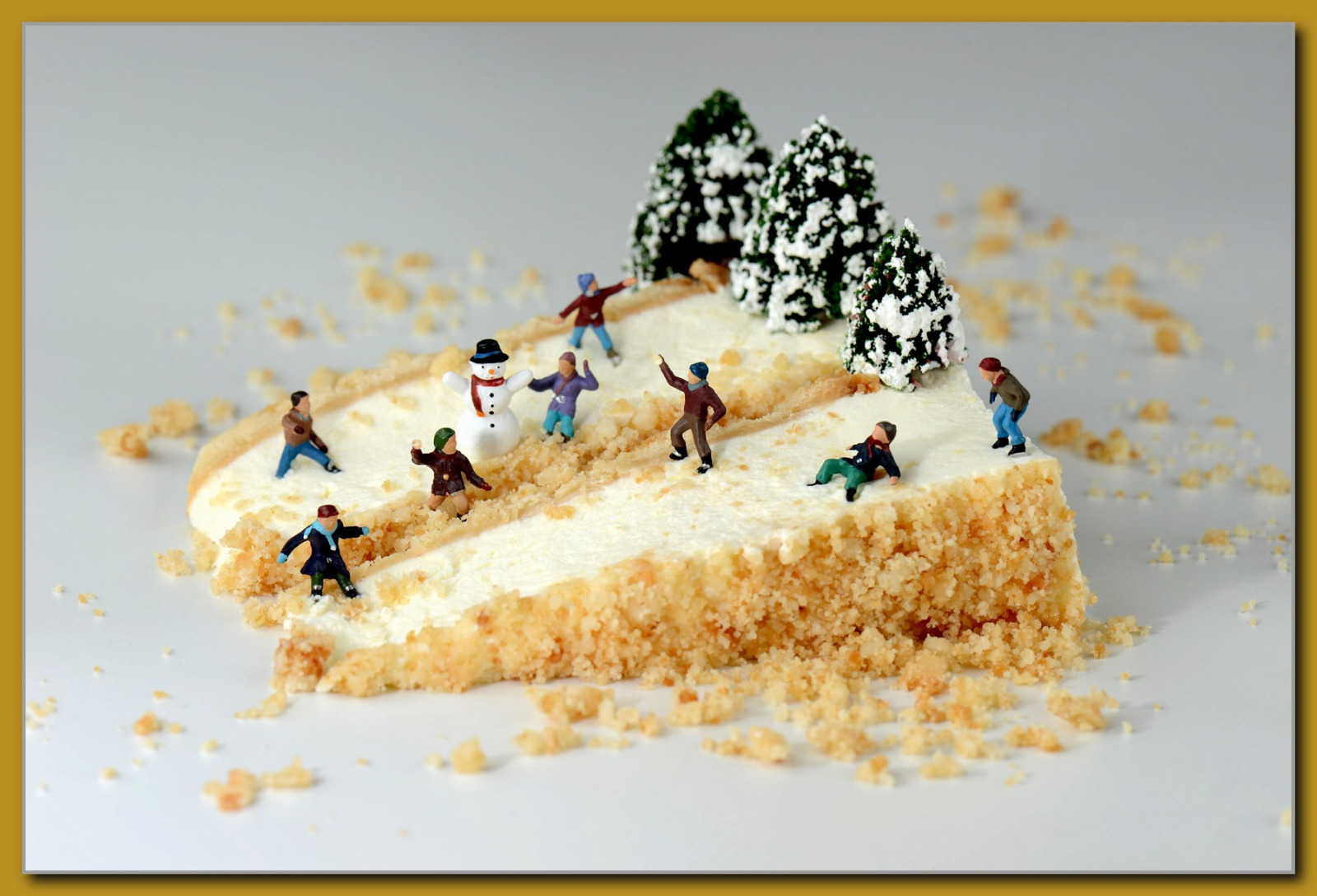 WhatsApp Image 2026-02-11 at 14.00.36